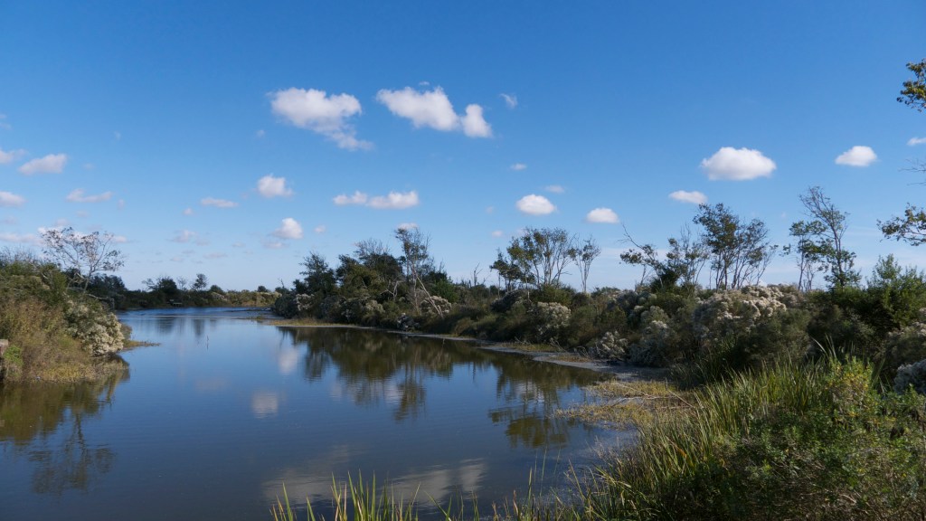 Anahuac National Wildlife Refuge