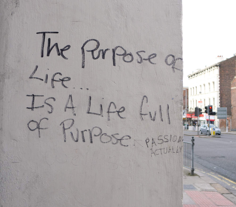 The Purpose of Life..Is a Life Full of Purpose