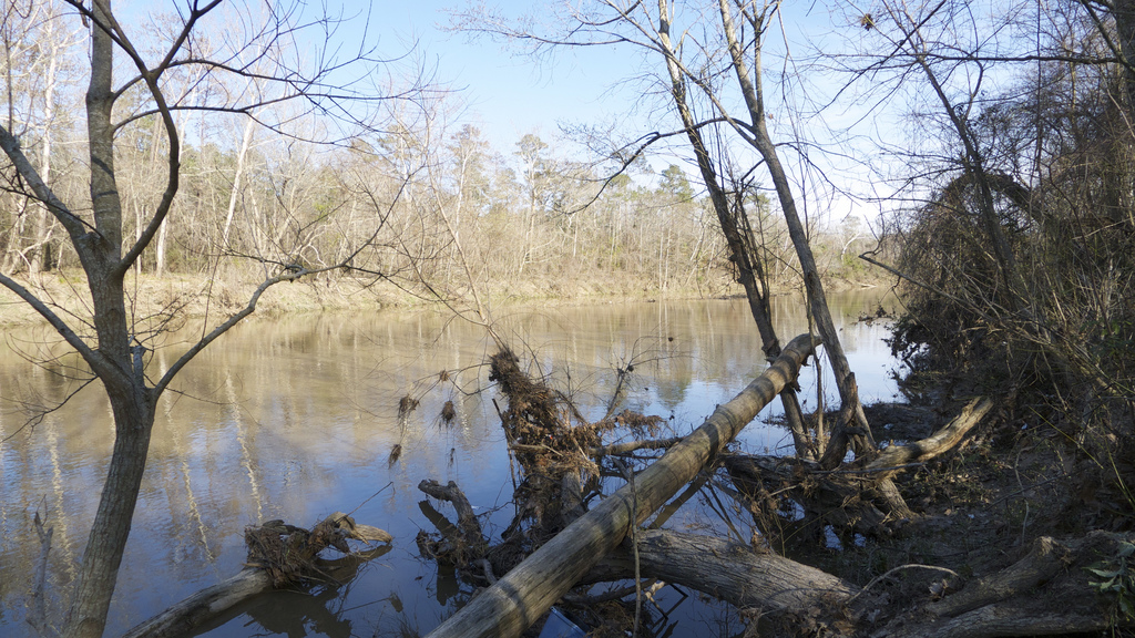 Houston Jan 29, 2012