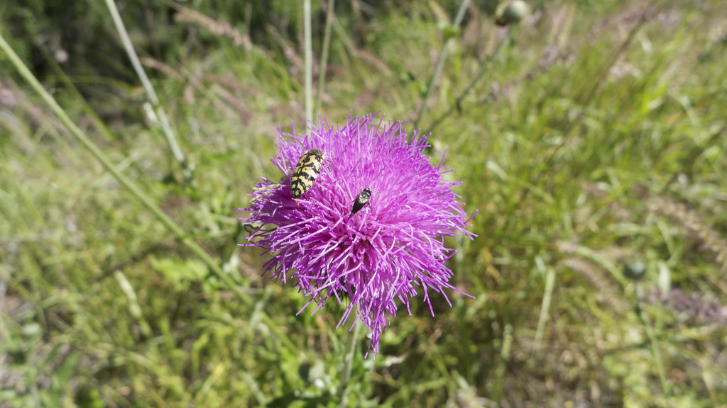 Choke Canyon State Park
