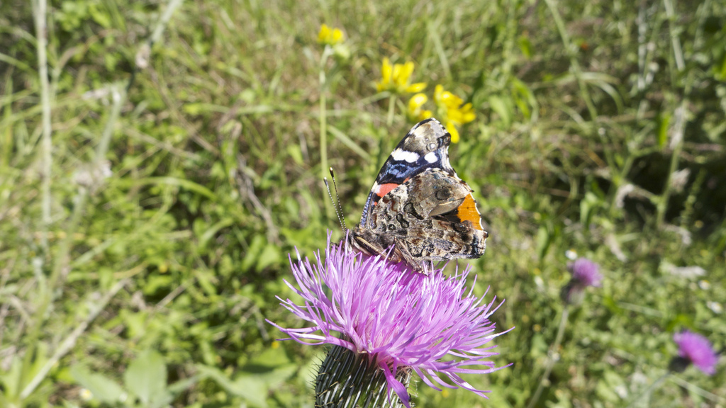 Choke Canyon State Park