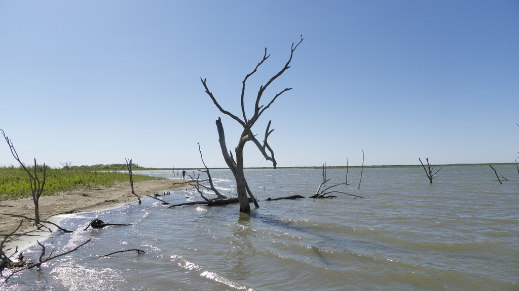 Choke Canyon State Park, Texas