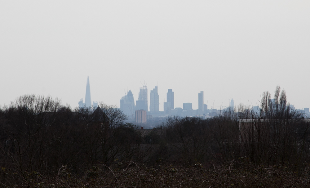 London From Epping Forest