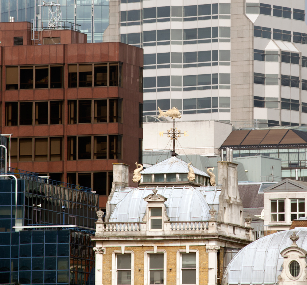 Skyline Slice: The City