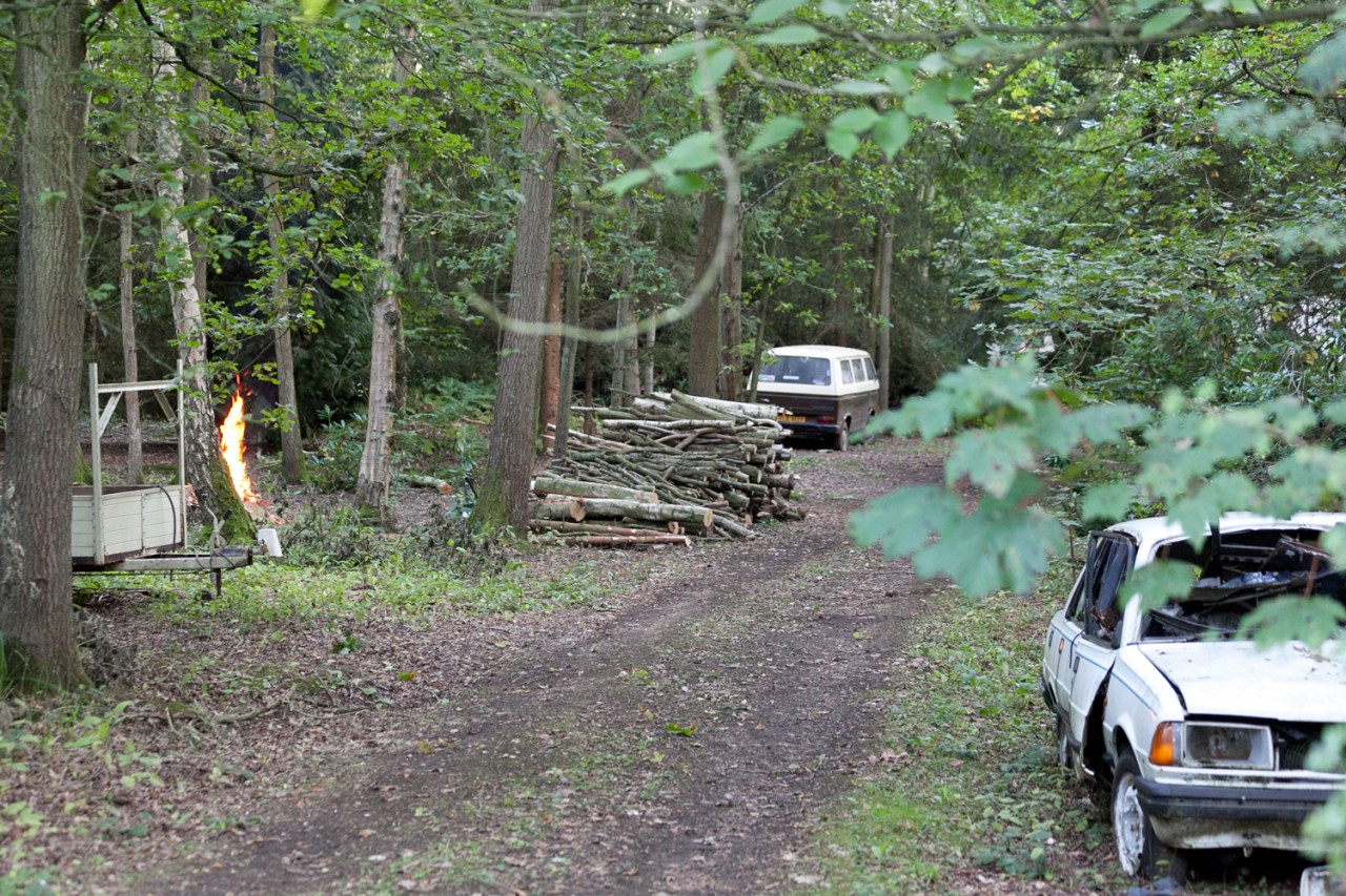 Deep in The Wilderness