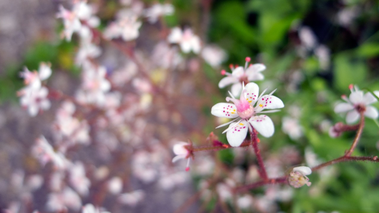 9034237679_5b21053093_o