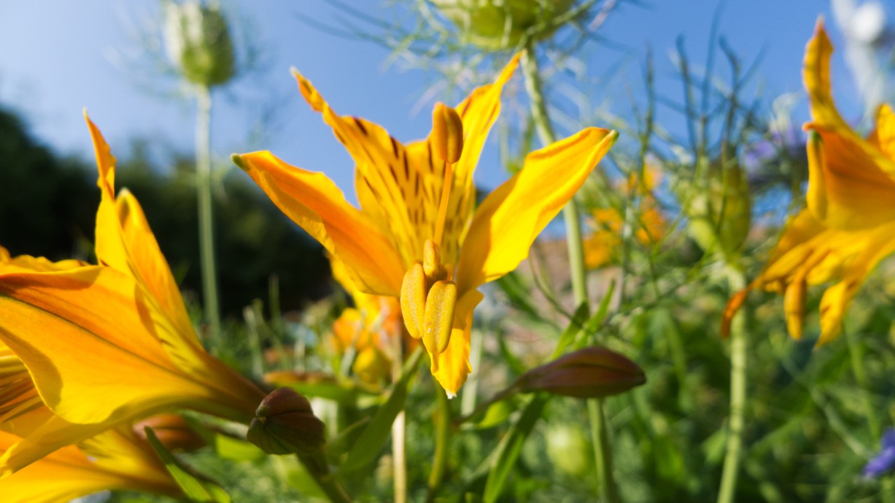 9231521798_5d487200a3_o