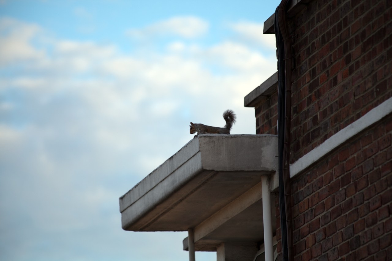 9377584800_9392f9c15c_o