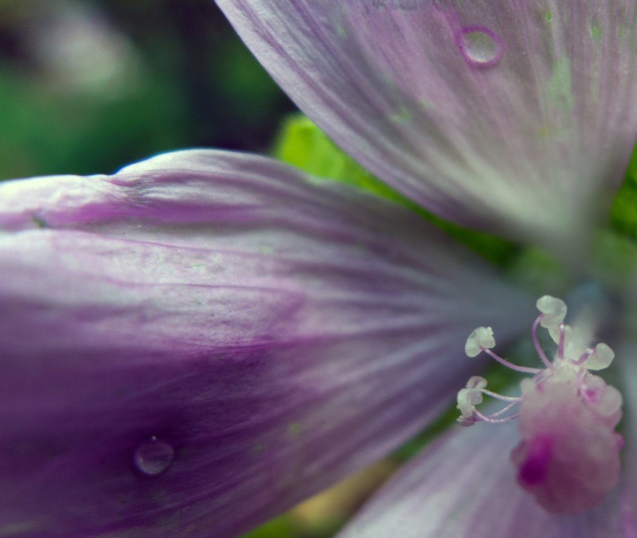 9383459019_9264ae1c30_o