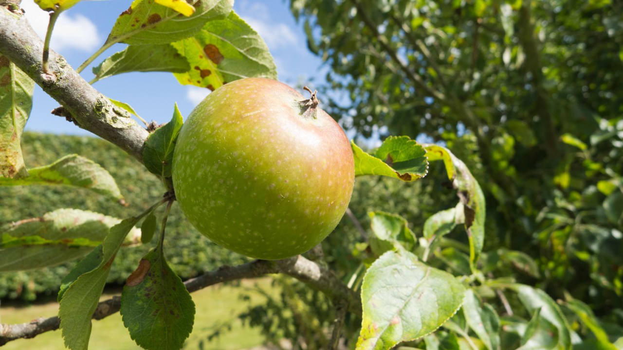 9385822881_9f10df1e96_o