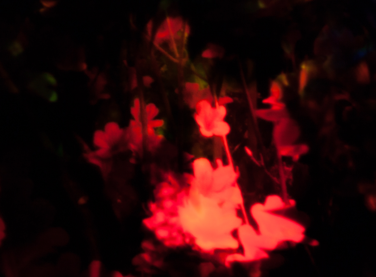 20140510-_MG_6492-Edit