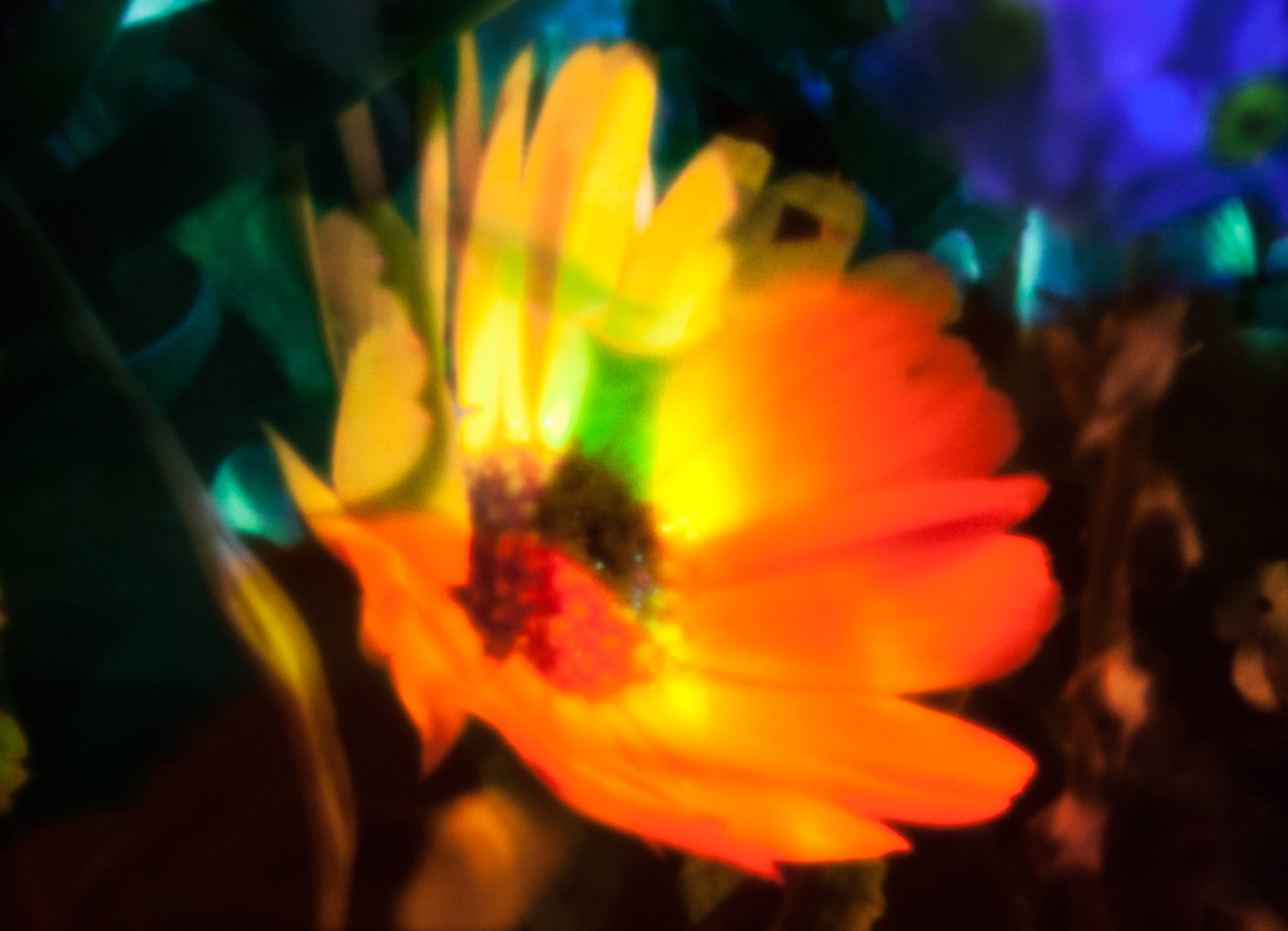 20140510-IMG_6449-Edit