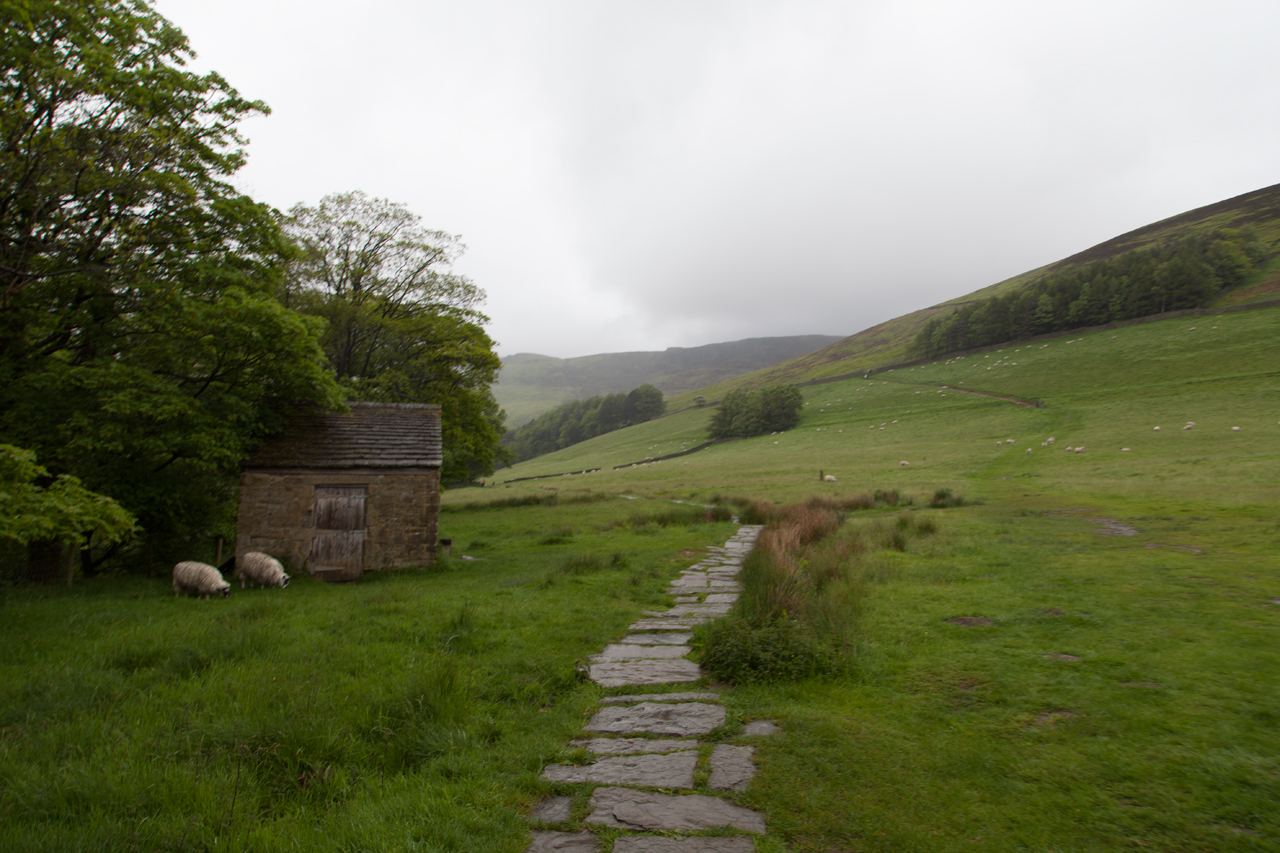 20140525-IMG_8846-Edit