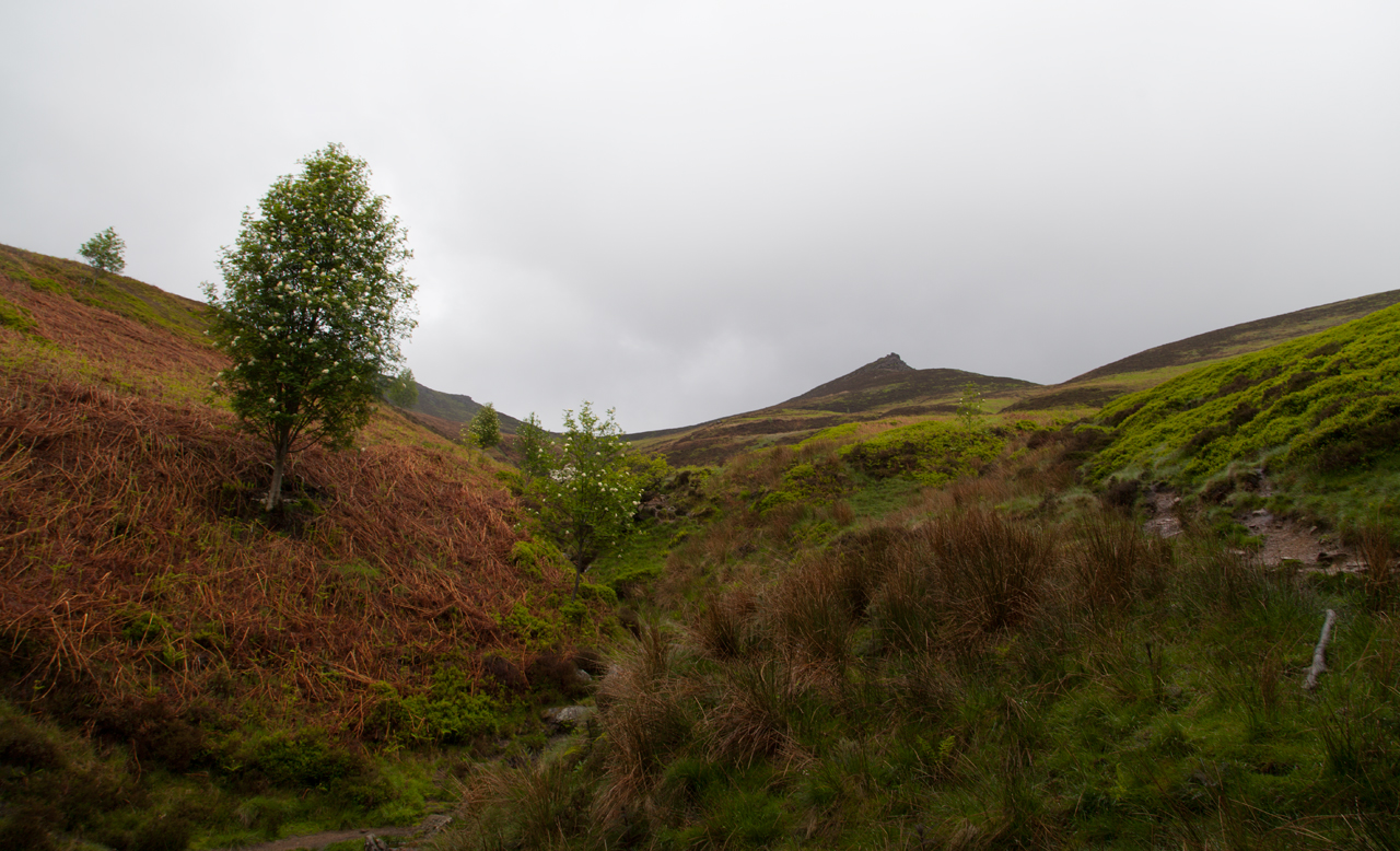 20140525-IMG_8907-Edit