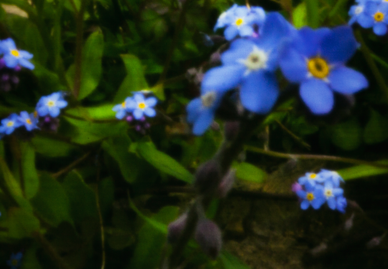 20140531-_MG_1110-Edit