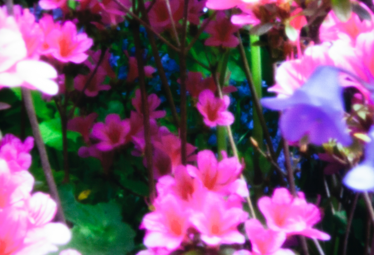 20140531-_MG_1120-Edit