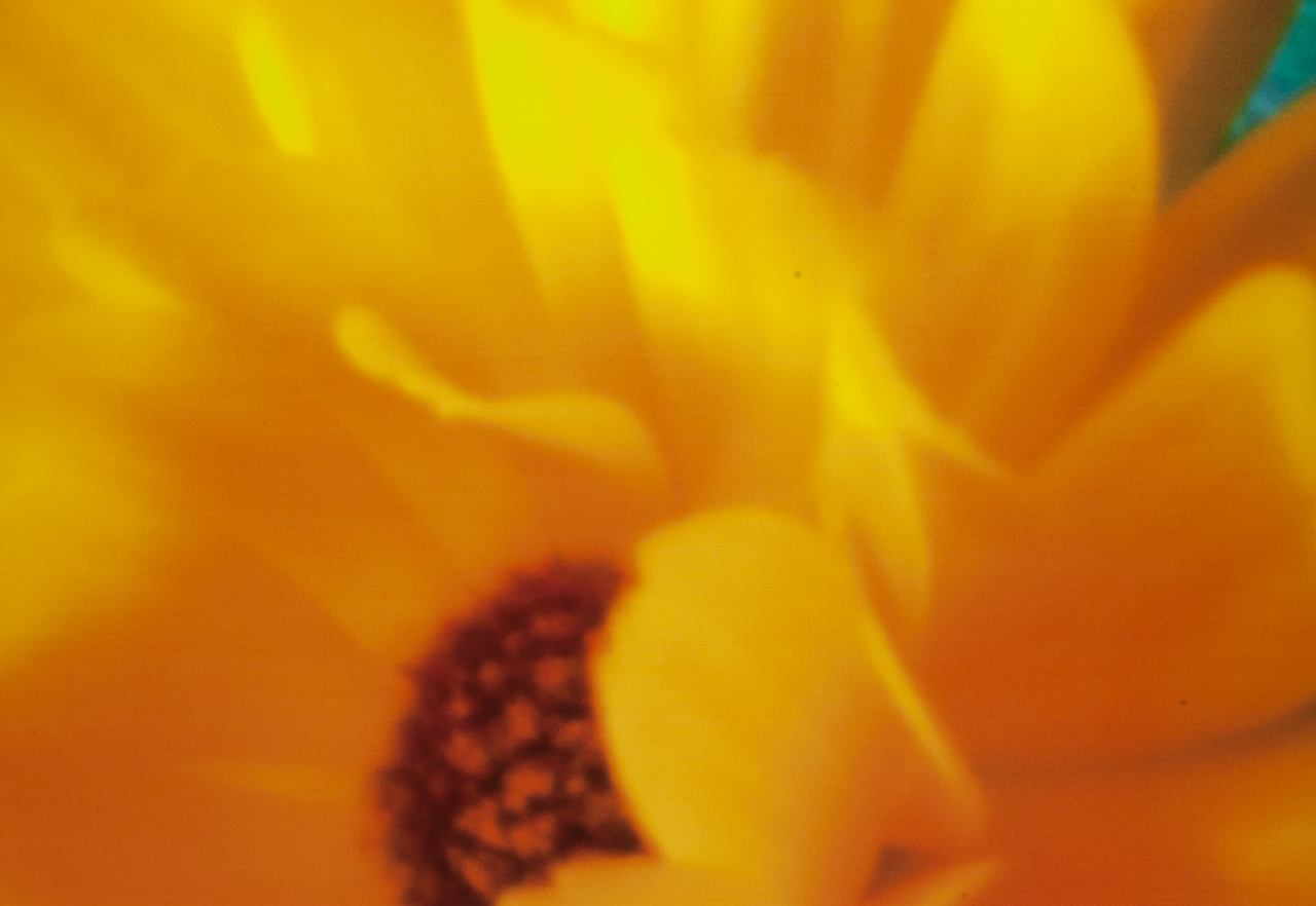 20140531-_MG_1129-Edit