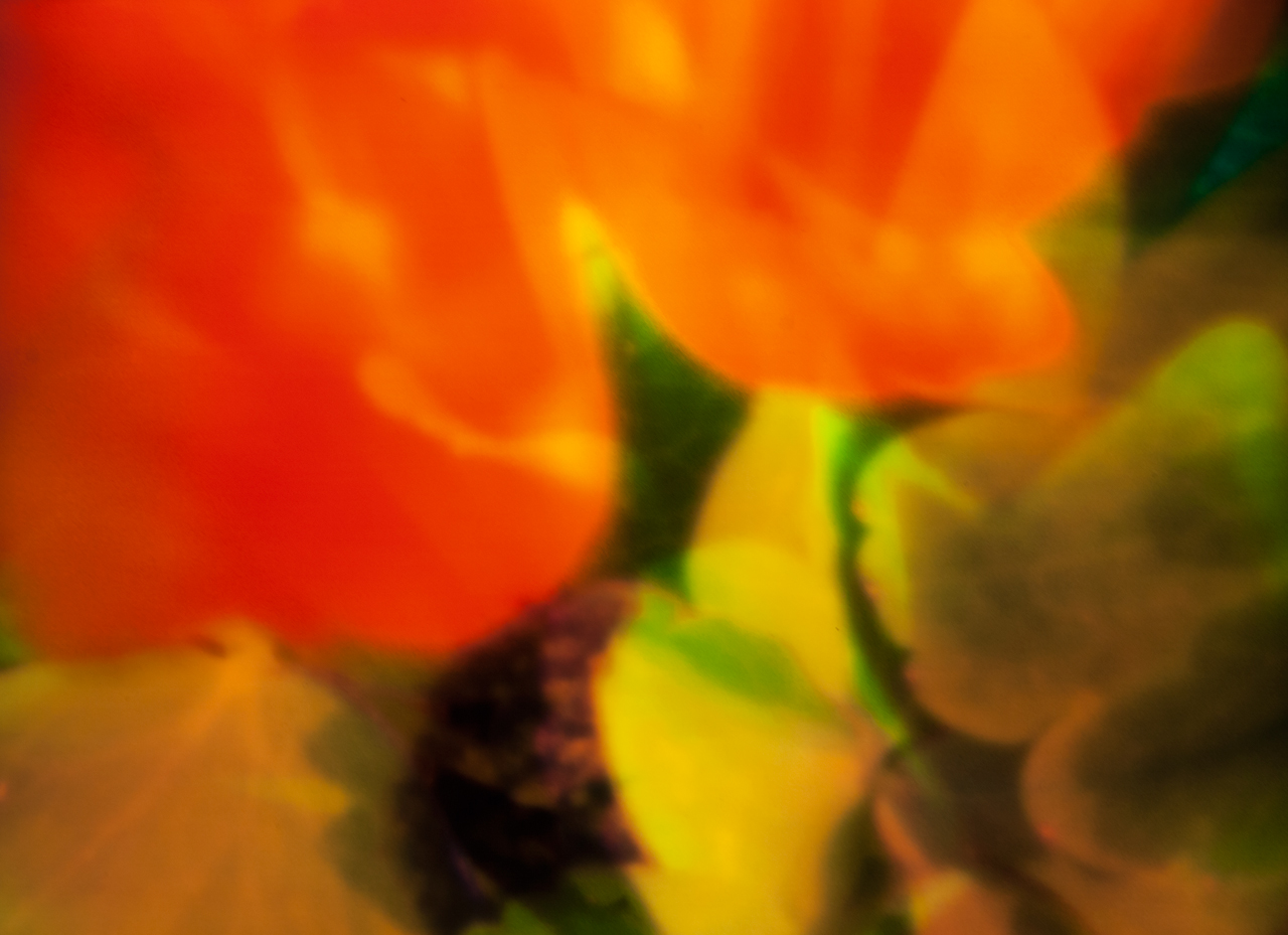 20140531-_MG_1140-Edit