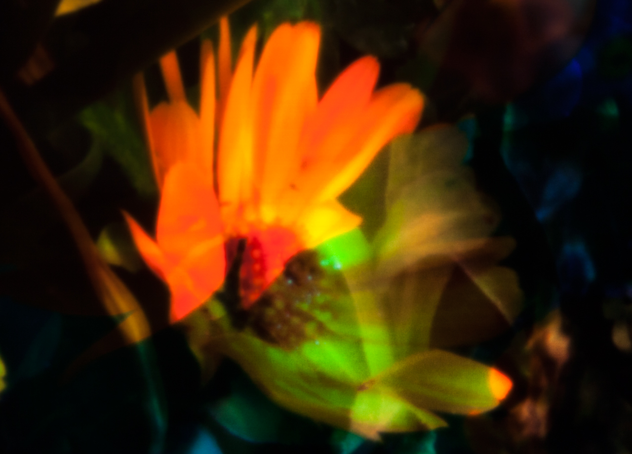 20140531-_MG_1171-Edit