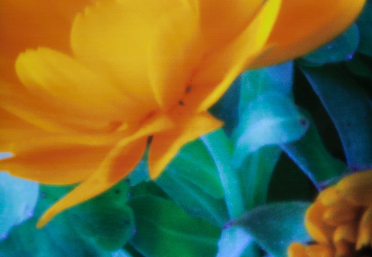 20140531-IMG_1088-Edit