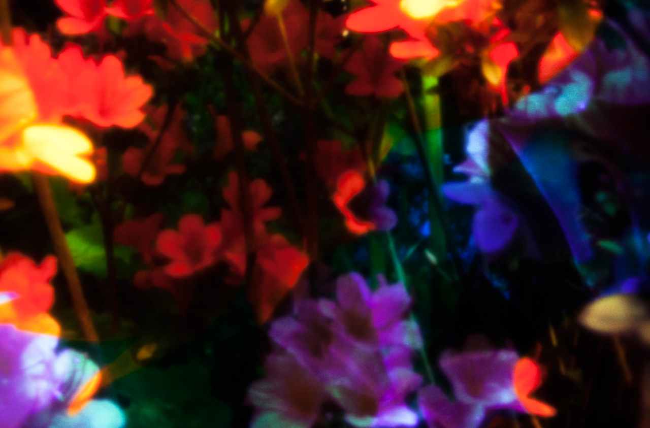 20140607-_MG_1827-Edit