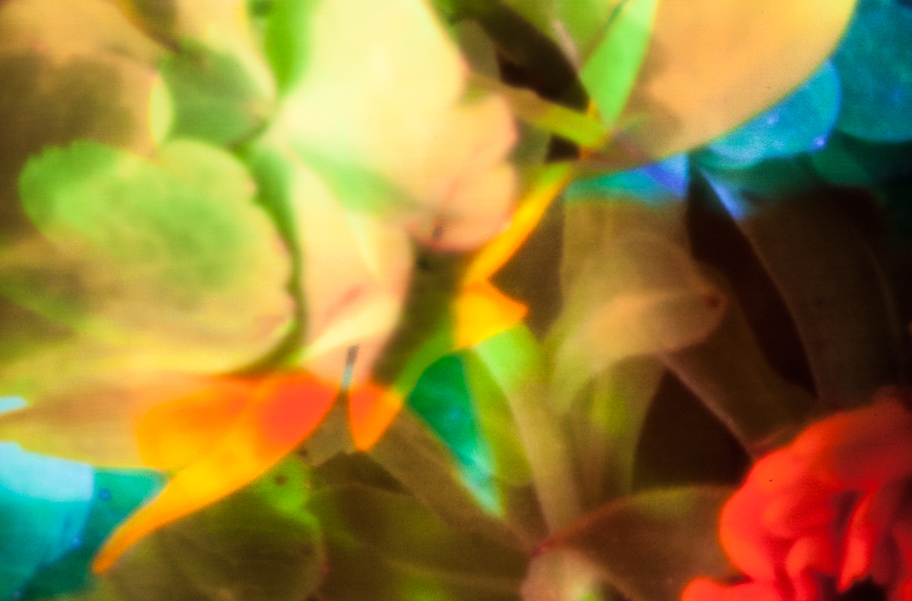 20140607-_MG_1835-Edit-Edit