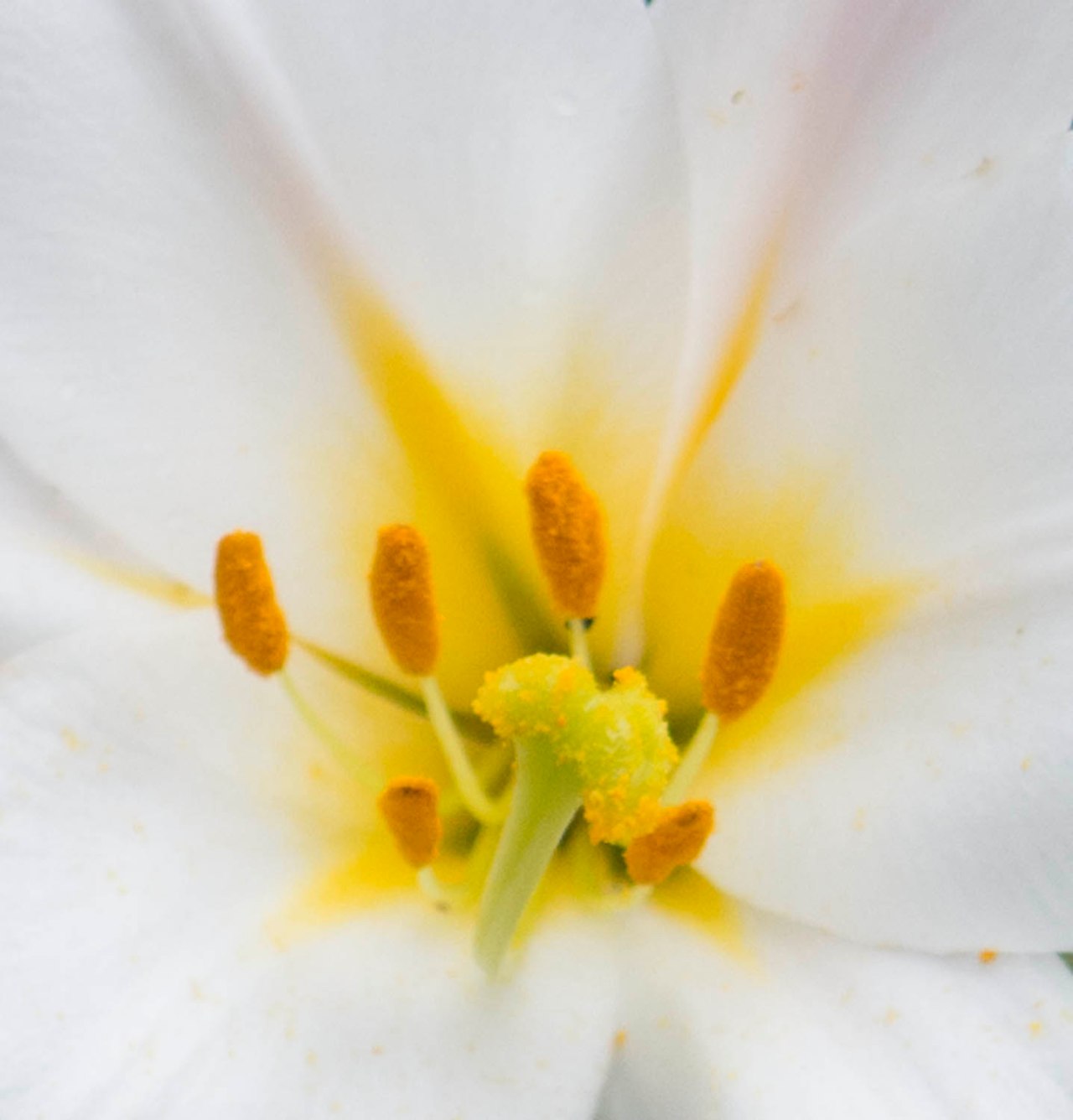 June282014-leica-6-2