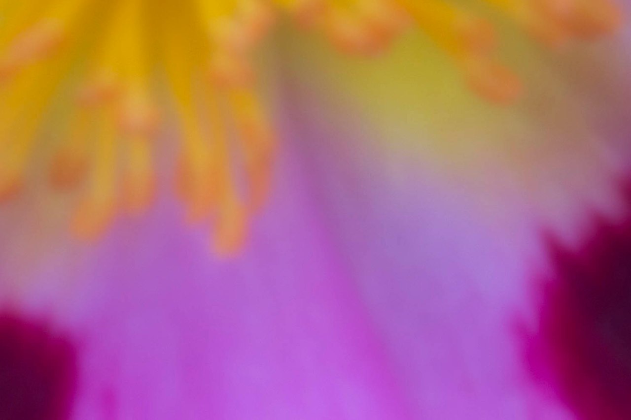 June292014-pinhole-2