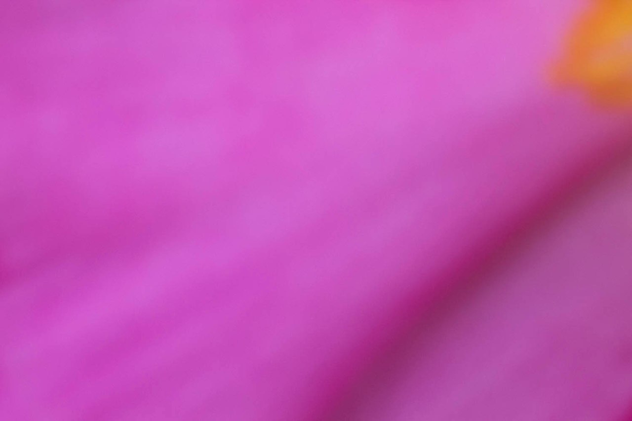 June292014-pinhole-4