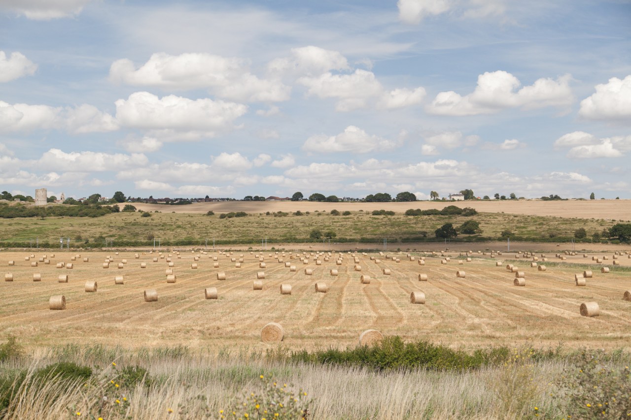 14797767276_876d10cd2d_o