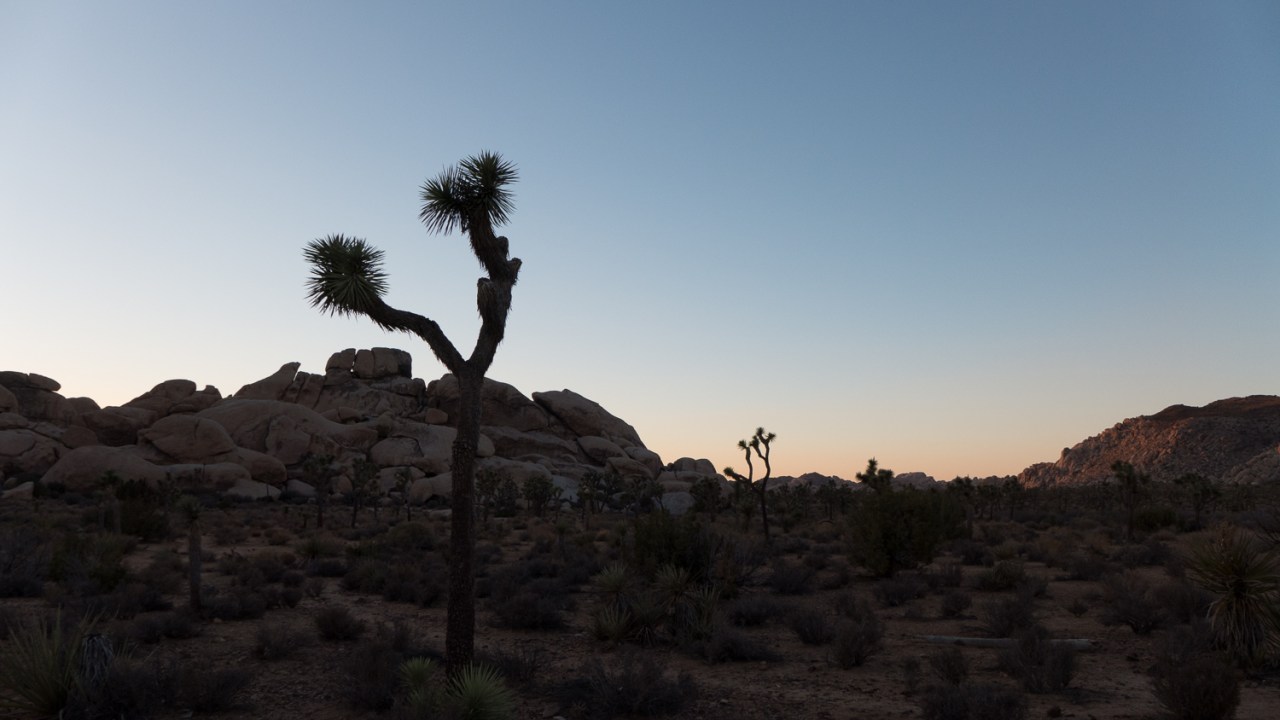 15006855311_fdb15d52bd_o