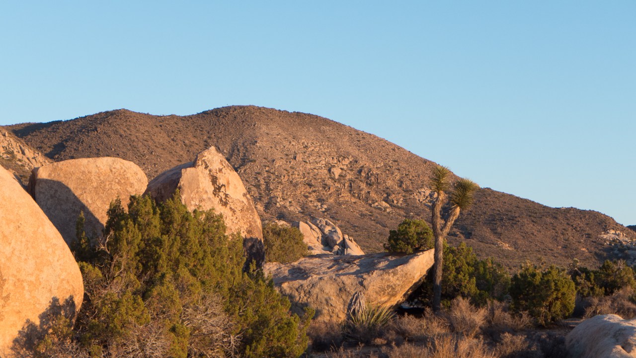 15009940775_4fb4582e2b_o