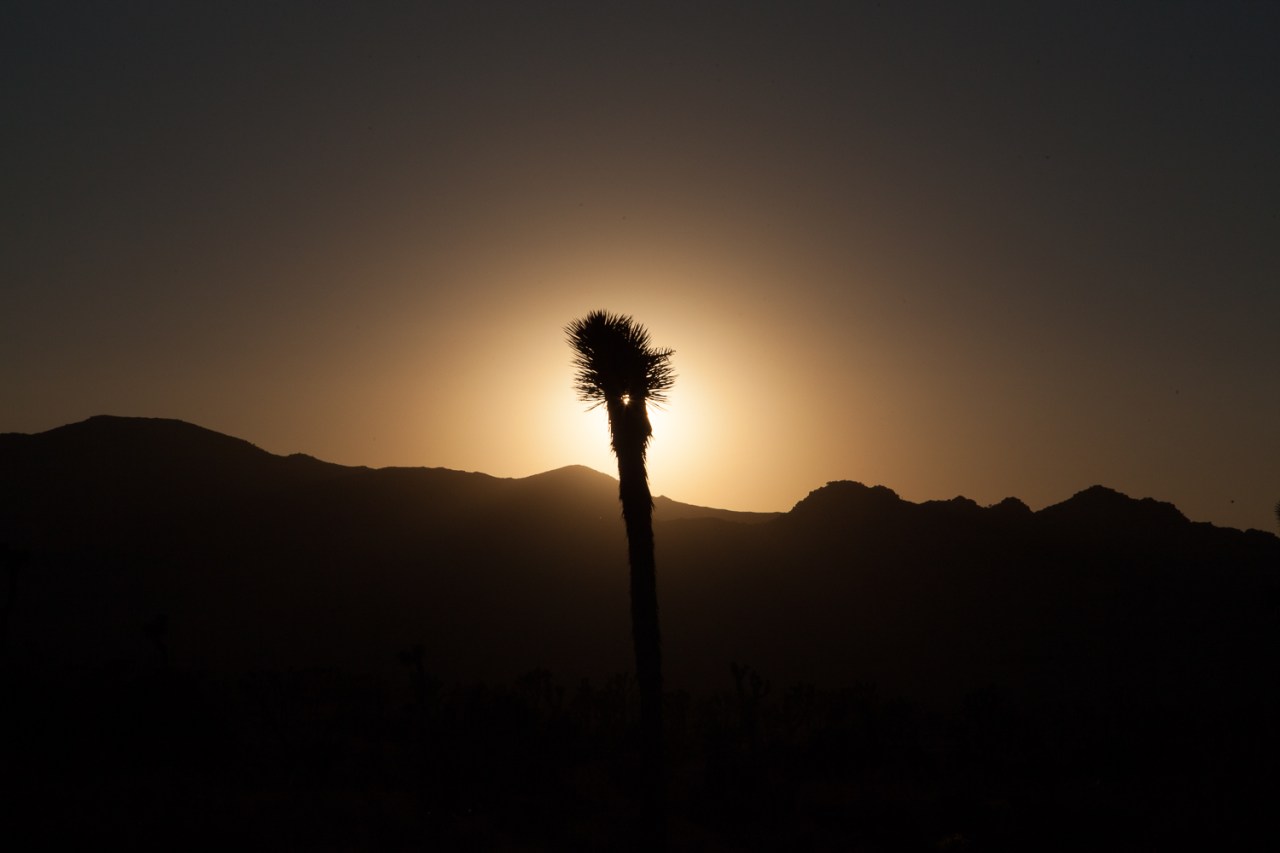 14823324738_18e1362b7f_o