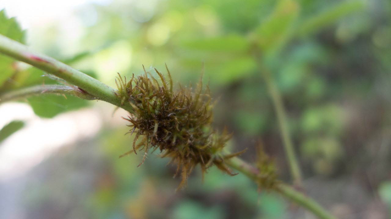 Mashomack Preserve Aug 26, 2014