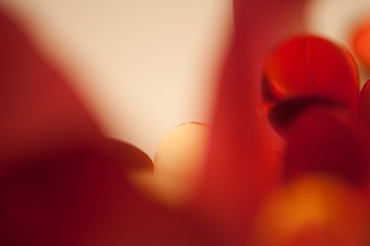 15320504630_edaf183d52_o