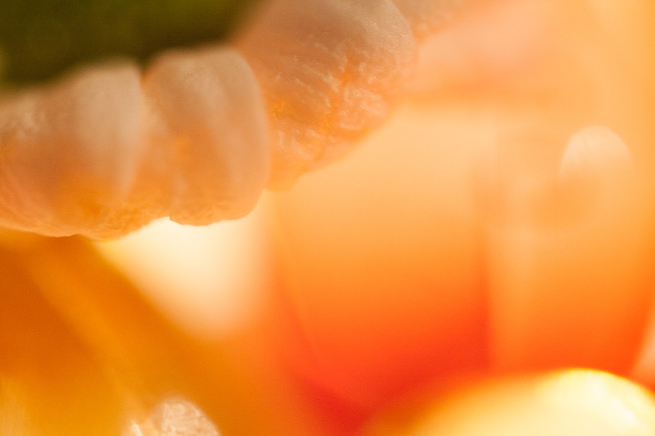 15320508150_d0da26cff4_o