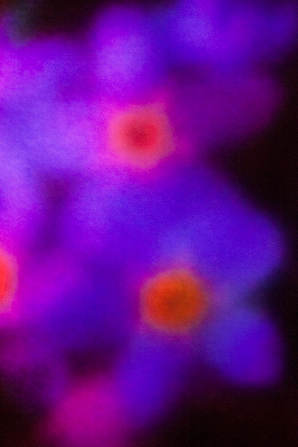 Secret Garden Revisited