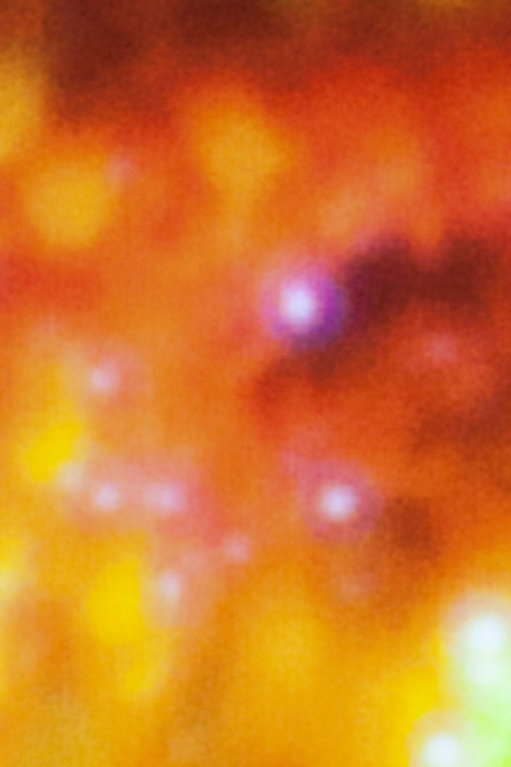 Secret Garden Revisited