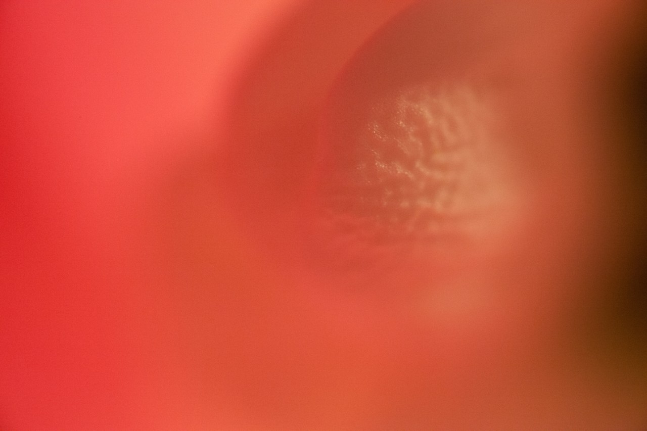 15484077436_f0403e85a7_o