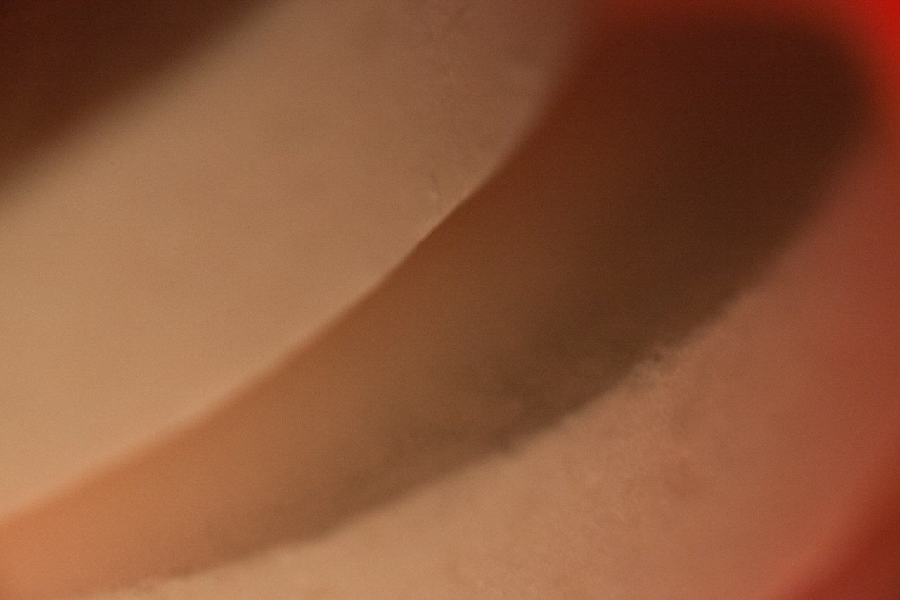 15484082846_6b4a43930f_o