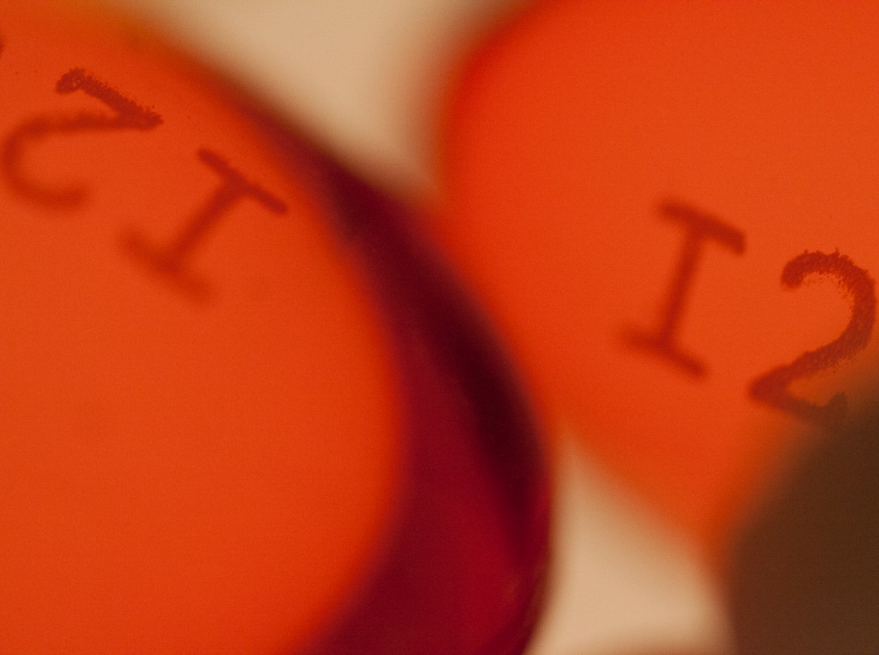 15504064681_380a379da2_o