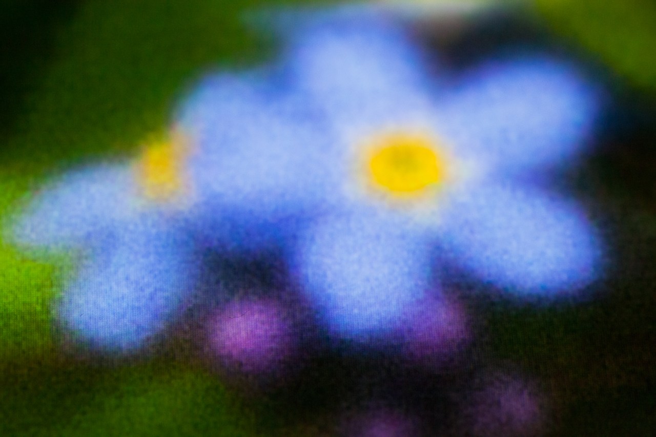 Secret Garden Revisited