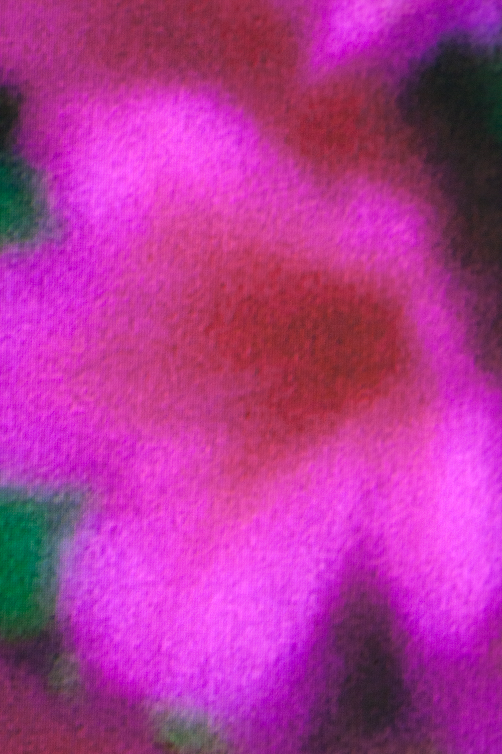 Secret Garden Revisited