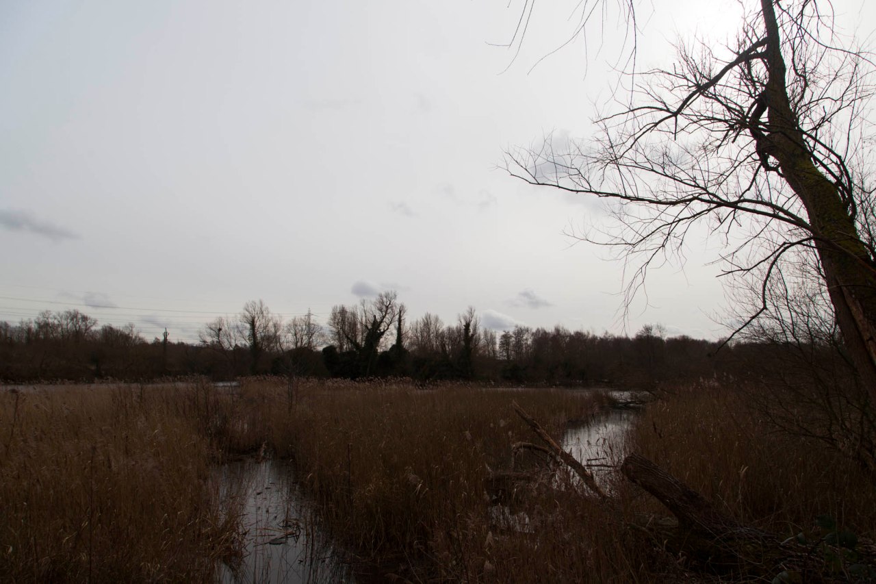 20150222-IMG_6696