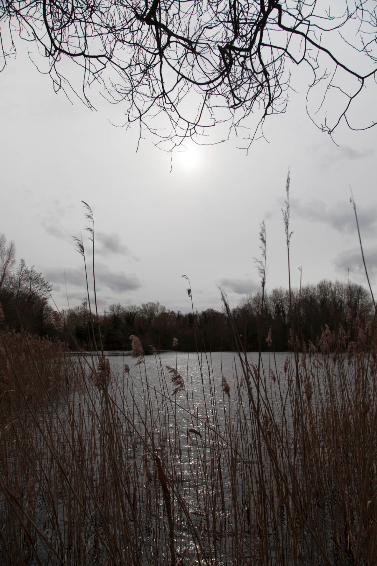 20150222-IMG_6795