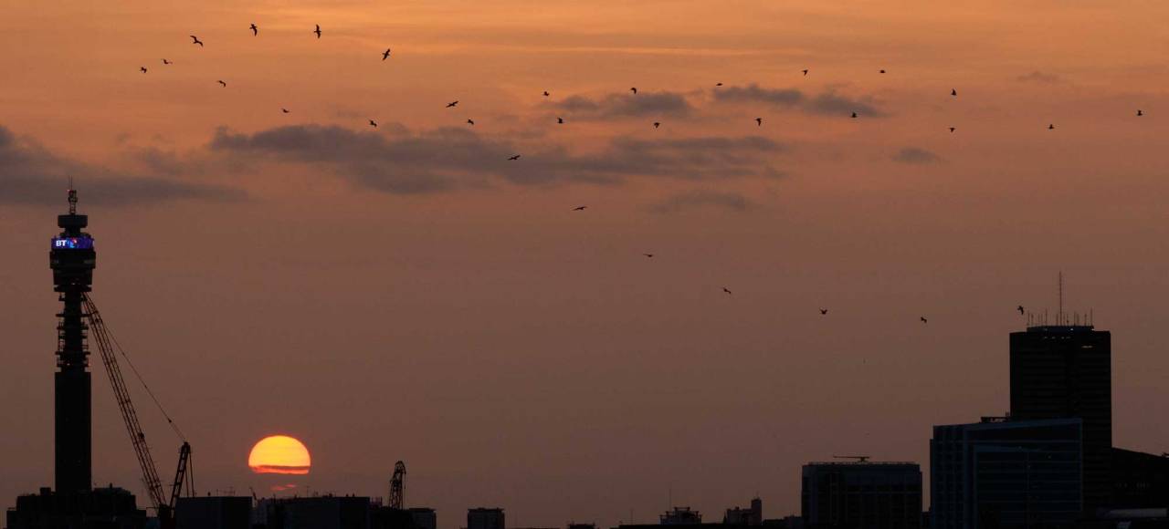 20150314-_MG_7626-Edit-A